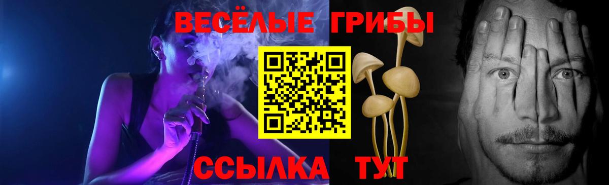 хочу наркоту  Вход с VPN  Сатка  Галлюциногенные грибы прущие грибы 